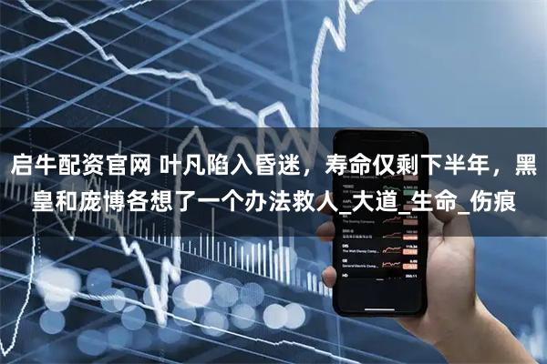 启牛配资官网 叶凡陷入昏迷，寿命仅剩下半年，黑皇和庞博各想了一个办法救人_大道_生命_伤痕