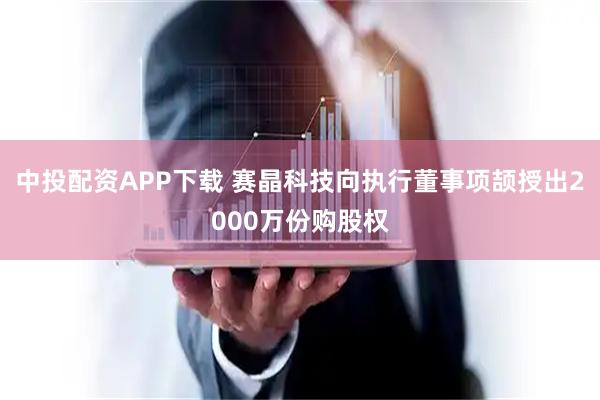 中投配资APP下载 赛晶科技向执行董事项颉授出2000万份购股权