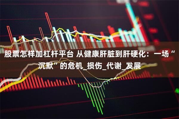 股票怎样加杠杆平台 从健康肝脏到肝硬化：一场“沉默”的危机_损伤_代谢_发展