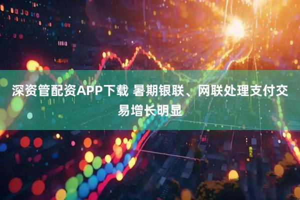 深资管配资APP下载 暑期银联、网联处理支付交易增长明显