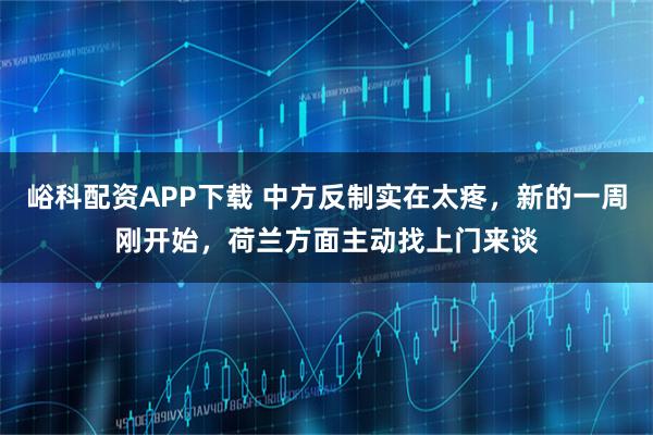 峪科配资APP下载 中方反制实在太疼，新的一周刚开始，荷兰方面主动找上门来谈