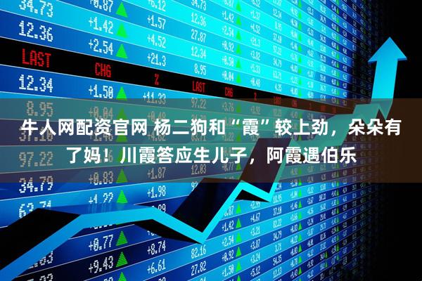 牛人网配资官网 杨二狗和“霞”较上劲，朵朵有了妈！川霞答应生儿子，阿霞遇伯乐