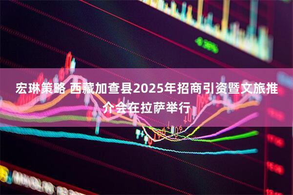 宏琳策略 西藏加查县2025年招商引资暨文旅推介会在拉萨举行
