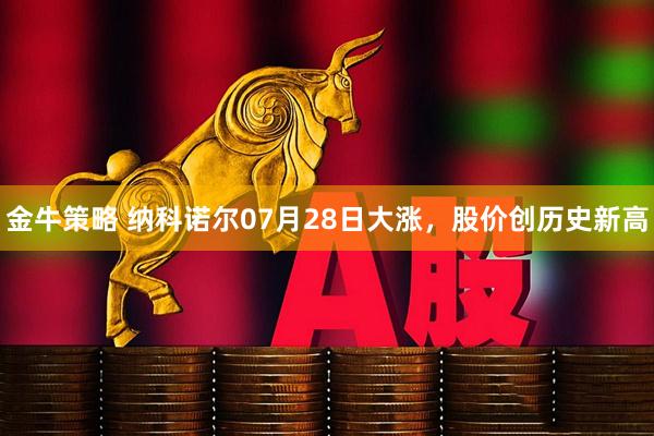 金牛策略 纳科诺尔07月28日大涨，股价创历史新高